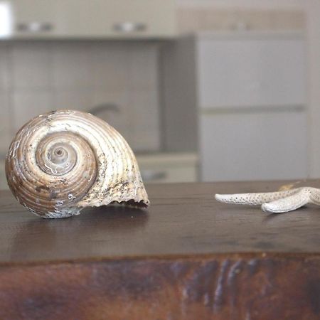 Lido Dei Miracoli Daire Lido Conchiglia Dış mekan fotoğraf